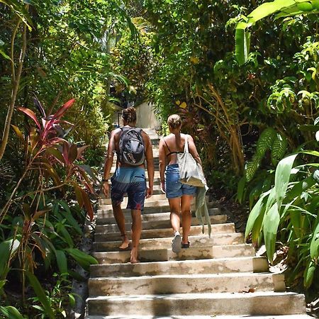 Funky Monkey Lodge Playa Santa Teresa  Eksteriør billede