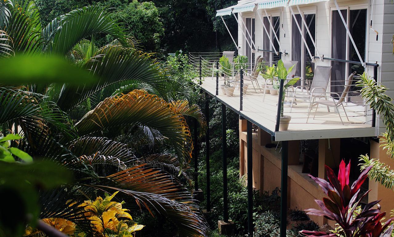 Funky Monkey Lodge Playa Santa Teresa  Eksteriør billede
