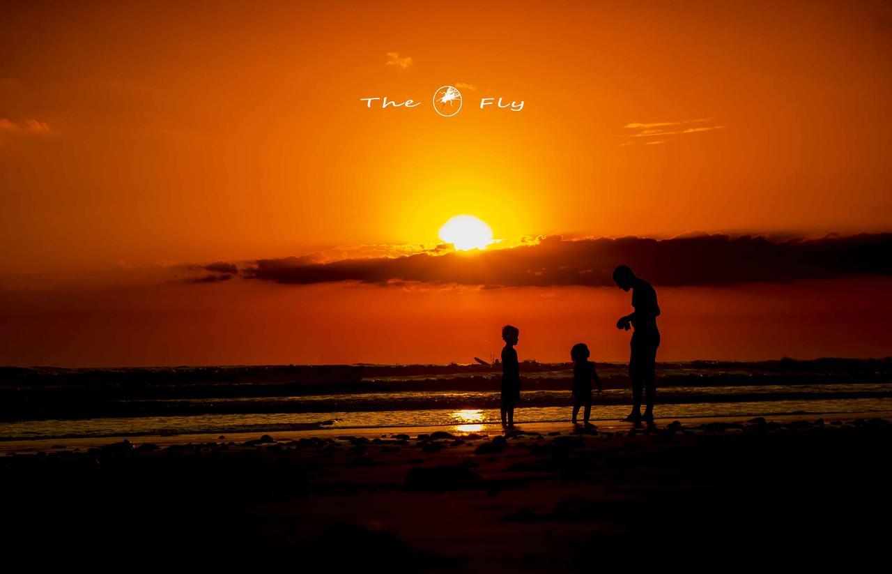 Funky Monkey Lodge Playa Santa Teresa  Eksteriør billede