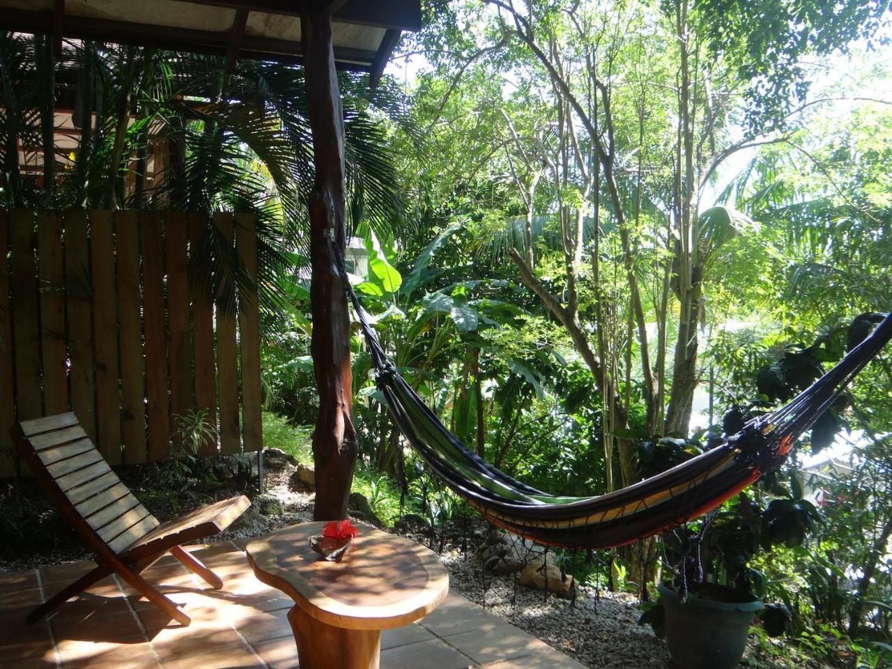 Funky Monkey Lodge Playa Santa Teresa  Eksteriør billede